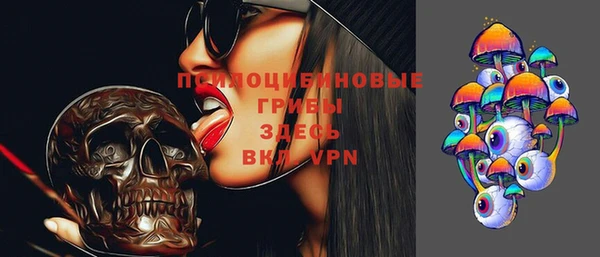 мдпв Вязники