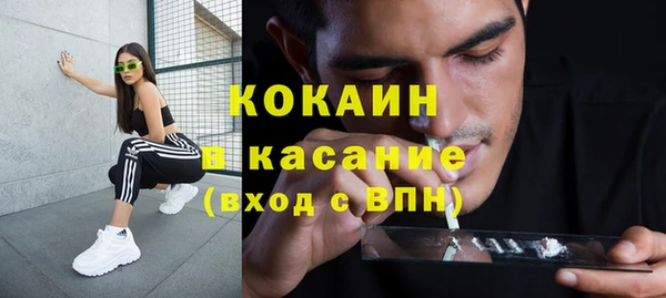сатива Горнозаводск