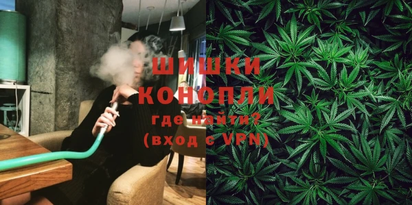 мдпв Вязники