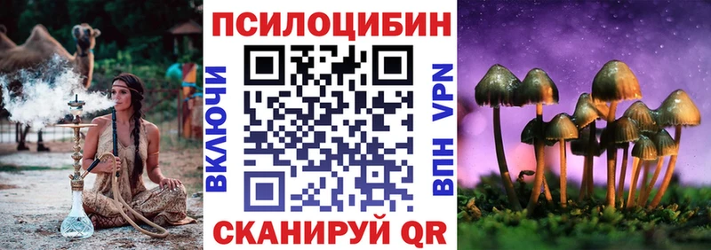 MEGA   Жирновск  Галлюциногенные грибы Psilocybe 