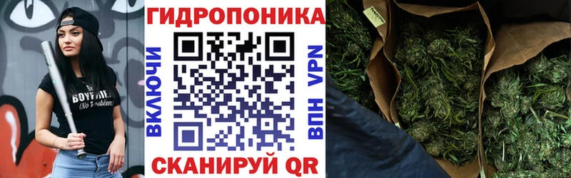 Бошки марихуана Bruce Banner  Жирновск 